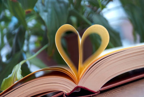 amor y libro - outdoors book reading accessibility fotografías e imágenes de stock