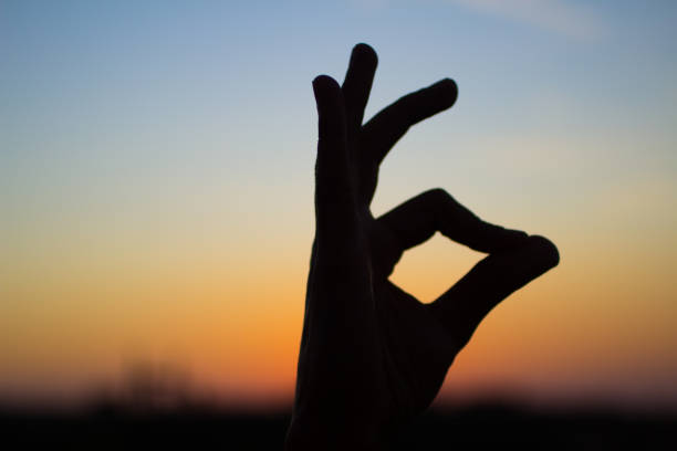 istock Ok hand sign silhouette at sunset 844472088