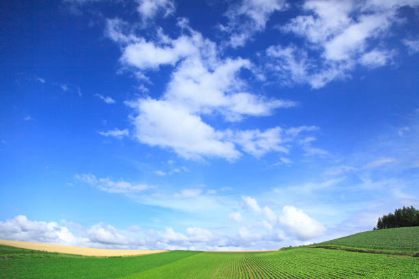 istock Landscape of the hills 844481162