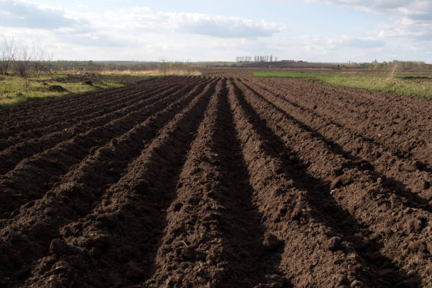istock the agriculture field 844481202