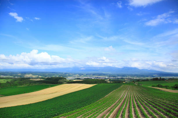 Landscape of the hills