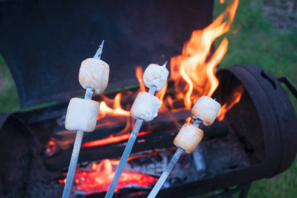 istock marshmallow on metal skewer 844481230