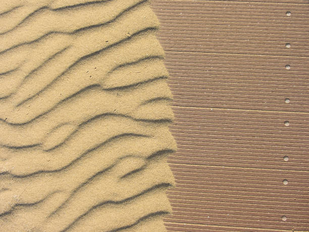 istock yellow sand moved by the wind 844481734