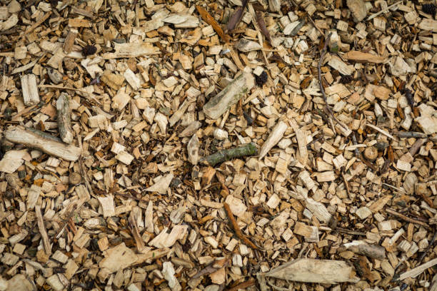 wood chip detail footpath with branch rests