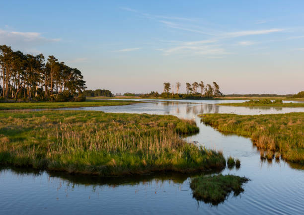 Coastal Wetlands at Sunrise in Virginia stock photo