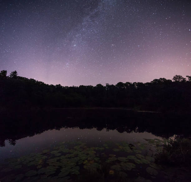 istock starry sky over the marsh, the Milky Way over the water 844503650