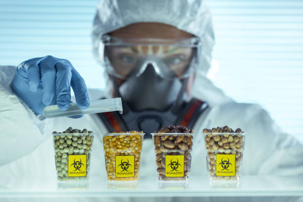 Laboratory Scientist pours dangerous liquid on beans genetic modification stock pictures, royalty-free photos & images
