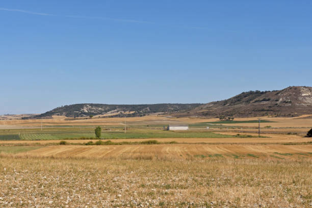 paisaje de castilla y león cerca de la aldea de villaviudas en la comarca de tierra de campos, provincia de palencia, españa, - palencia province fotografías e imágenes de stock