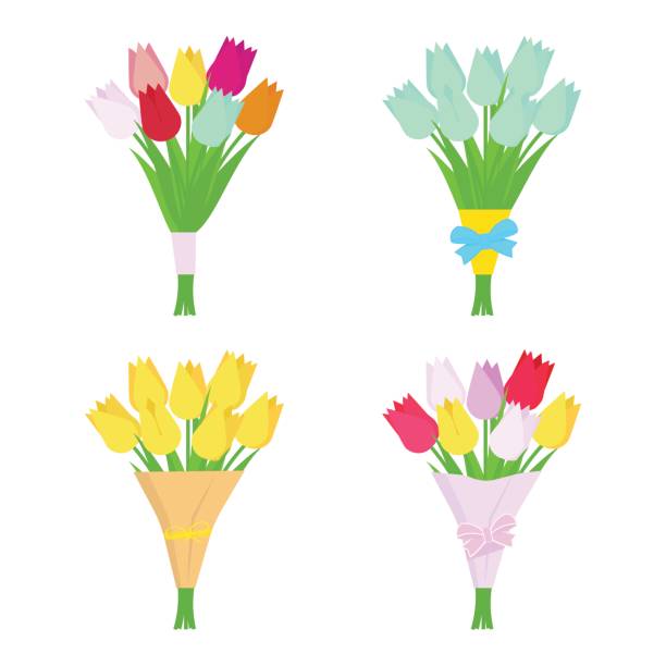 ilustraciones, imágenes clip art, dibujos animados e iconos de stock de conjunto de tulipán flores ramos aislados sobre fondo blanco. arreglo de flores. - tulip bouquet