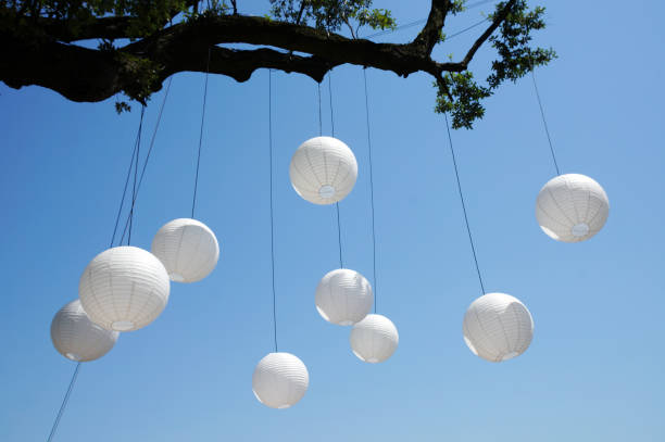 istock white chinese lanterns hanging from a tree against blu sky 844521958