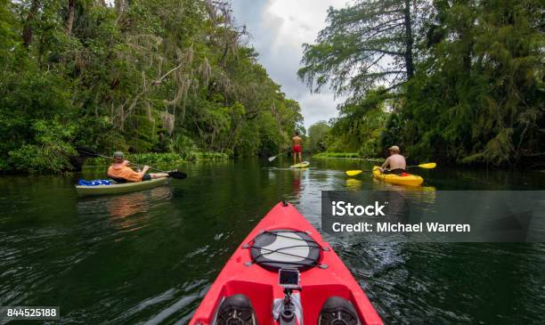 Kayak Y Paddle En El Río De La Plata Foto de stock y más banco de imágenes de Florida - Estados Unidos - Florida - Estados Unidos, Orlando - Florida, Kayak - Piragüismo y canotaje