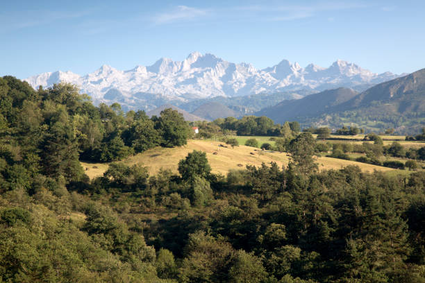 istock Picos de Europa Mountain Range outside Labra; Sponsors 844525764