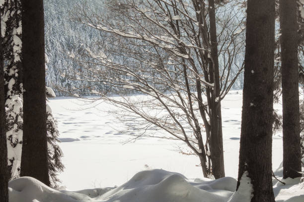 istock Winter landscape in Bavaria 844535662