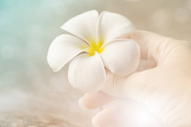 I am like a flower that is raised with love by you.You help me glow up big and strong.Thanks mom ,dad for all you do.