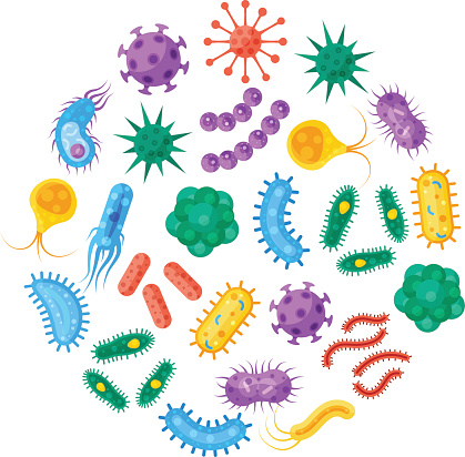 Bacteria and microbes vector template in the form of a circle. Flat illustration of various germs, viruses, bacteria and other microorganisms.