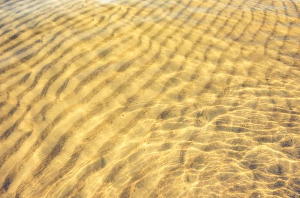 istock Sand pattern on the shallow sea bottom, Baltic sea coast 844552734