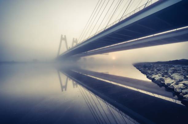istock Cable stayed bridge, Krakow, Poland, in the morning fog over Vistula river 844552944