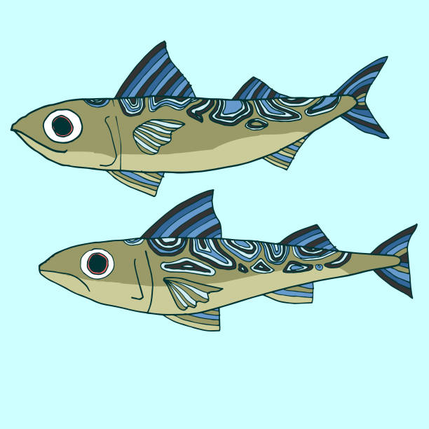 Mackerel vector art illustration