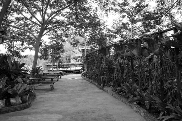 The walkway in the park is black and white.
