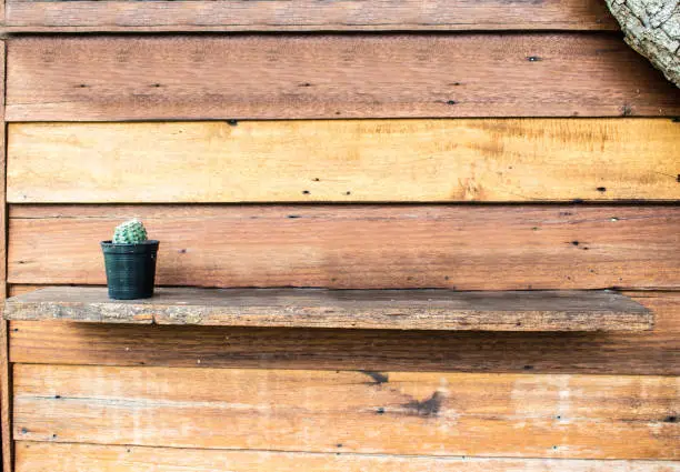 Photo of Wooden shelves for decorating cactus or other trees.