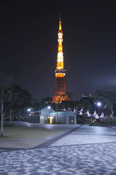 istock Night view of Tokyo Tower 844571844