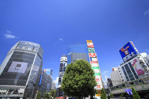 istock Shibuya city 844576654