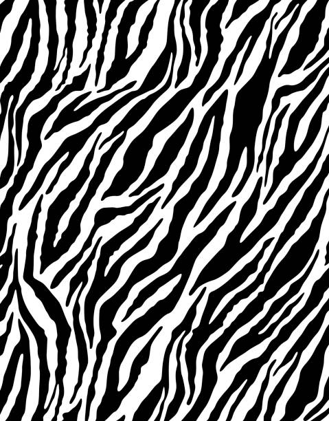 Nonsection pattern Nonsection pattern zebra print stock illustrations