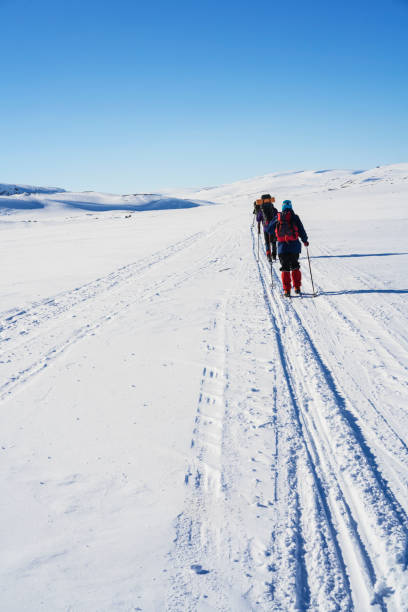 istock Three Back Country skiers on Hardangervidda plane in Norwey 844605270