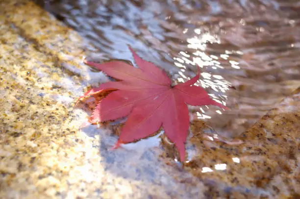 Water-basin