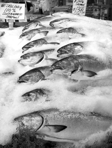 Fish Market - chinook salmon for sale