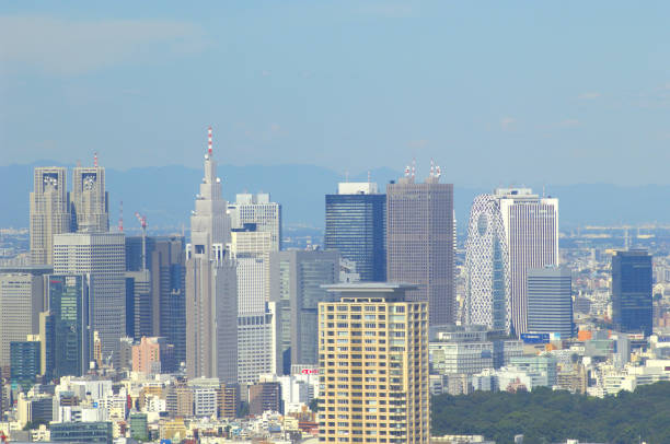 istock Tokyo metropolitan landscape 844626076