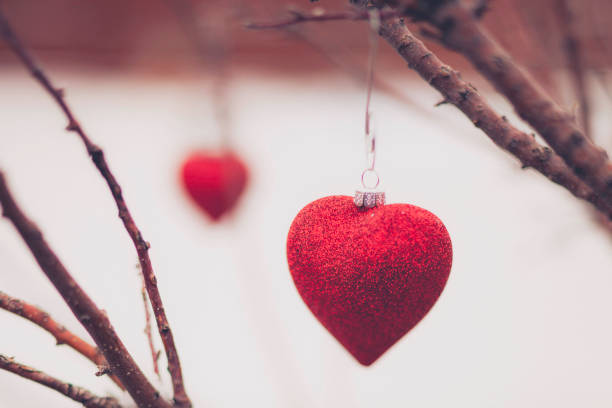 istock Christmas heart shaped ornaments hanging on bare tree in snow 844632672