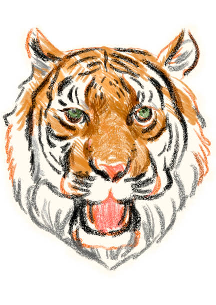 istock Sketch of the roaring of the Tiger face 844634134