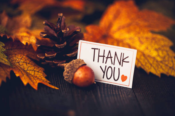 istock Thanksgiving background with leaves and message 844638234