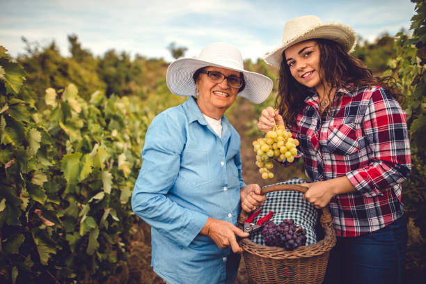 istock We love the plant of our work 844644728
