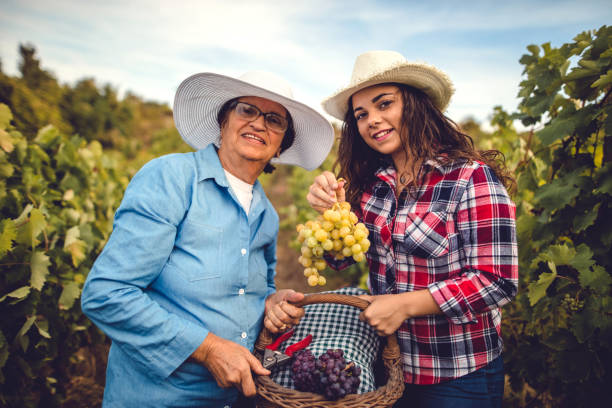 istock We love the plant of our work 844645352