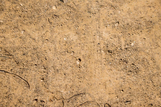 istock Limestone soil of the Negev desert (Israel) 844654778