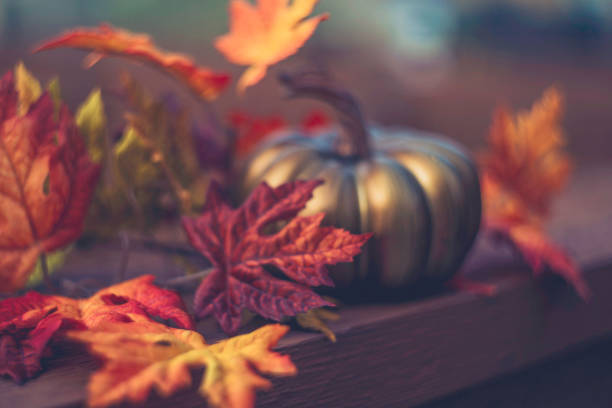 istock Thanksgiving background with leaves and golden pumpkin 844662394