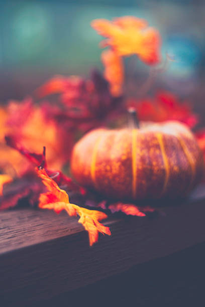 istock Thanksgiving still life background with defocused pumpkin 844662408