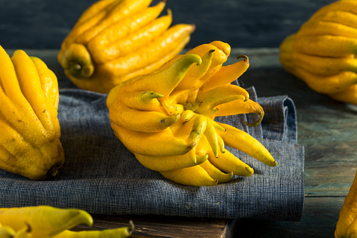 Yellow Organic Buddhas Hand Citrus Fruit with Fingers