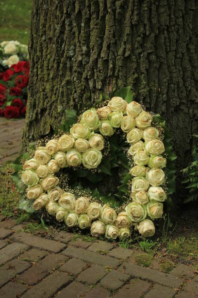 istock Sympathy flowers near a tree 844672938