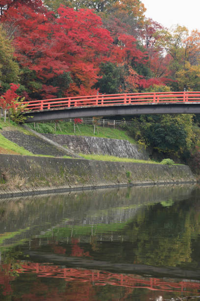 istock The Tatsuta River fall foliage 844673964