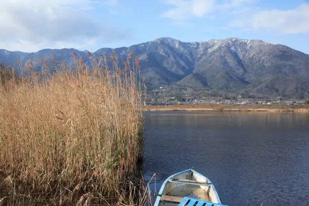 Dry reeds and Mt. Hira series