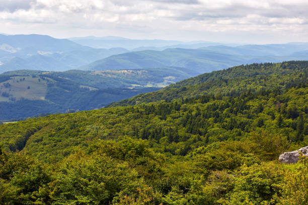 istock Allegheny Highlands of West Virginia 844680878