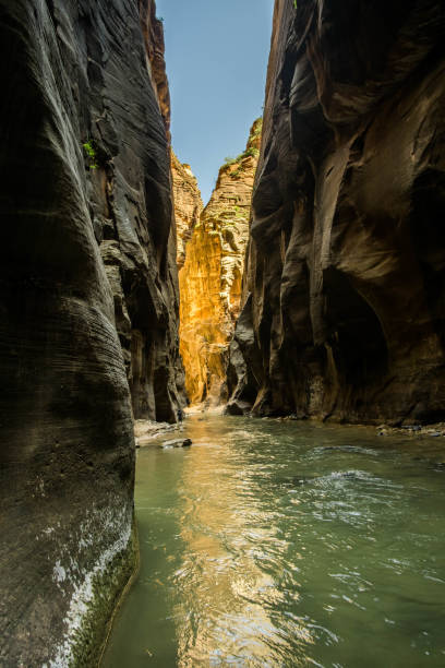 istock The Narrows at Zion National Park. 844681270