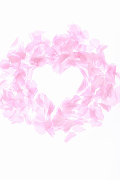 Blossom petals heart
