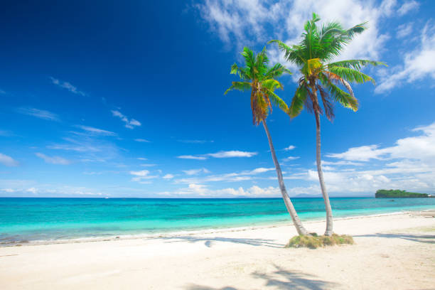 istock tropical beach with coconut palm 844697030
