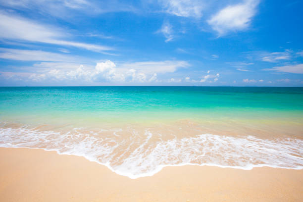 istock beach and tropical sea 844697618