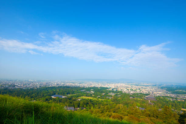 istock Todai-ji and Nara City 844703966