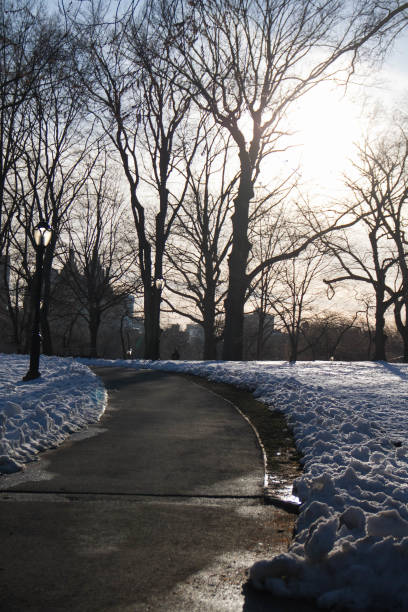 istock Walkway and light pole in curve between snow at the park before sunset 844714286